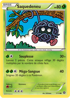 Carte Pokémon Saquedeneu 1/114 Commune Offensive Vapeur