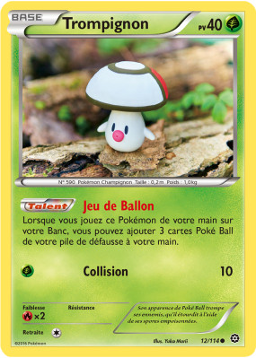 Carte Pokémon Trompignon 12/114 Commune Offensive Vapeur