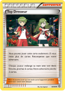 Carte Pokémon Top Dresseur 69/98 Peu commune Origines Antiques