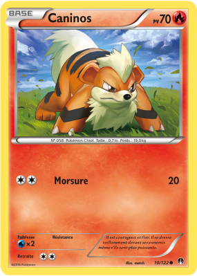 Carte Pokémon Caninos 10/122 Commune Rupture TURBO