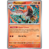 Photo marchande de Flambusard