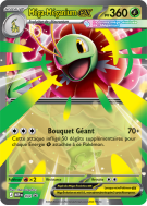Carte Pokémon Méga-Méganium-ex 34 Promo ME