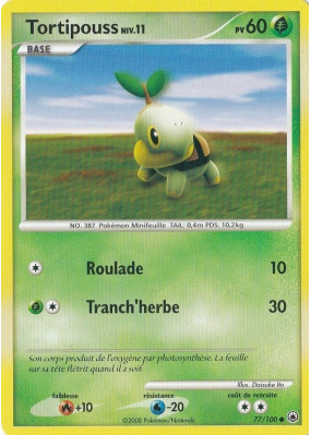 Carte Pokémon Tortipouss 77/100 Commune Aube Majestueuse
