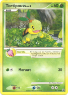 Carte Pokémon Tortipouss 78/100 Commune Aube Majestueuse