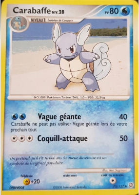 Carte Pokémon Carabaffe 75/132 Peu commune Merveilles Secrètes