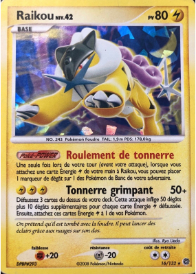 Carte Pokémon Raikou 16/132 Holographique Merveilles Secrètes