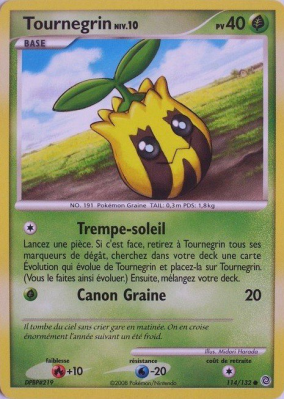 Carte Pokémon Tournegrin 114/132 Commune Merveilles Secrètes