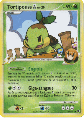 Carte Pokémon Tortipouss GL 85/111 Commune Rivaux Émergeants