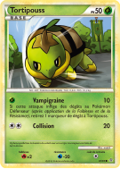Carte Pokémon Tortipouss 67/95 Commune Déchaînement
