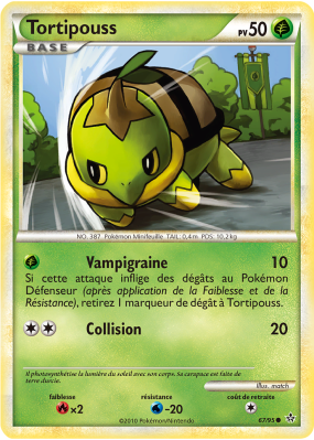 Carte Pokémon Tortipouss 67/95 Commune Déchaînement