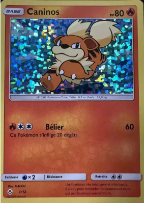 Carte Pokémon Caninos 1/12 Promo Collection McDonald's 2018 (International)