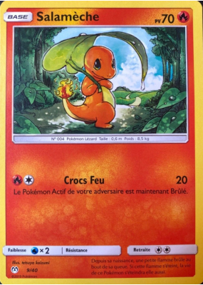 Carte Pokémon Salamèche 9/40 Promo Collection McDonald's 2019 (France)
