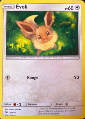 Carte Pokémon Évoli 40/40 Promo Collection McDonald's 2019 (France)