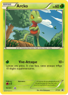 Carte Pokémon Arcko XY36 Promo XY