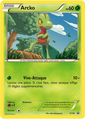 Carte Pokémon Arcko XY36 Promo XY