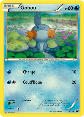 Carte Pokémon Gobou XY38 Promo XY