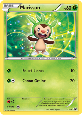 Carte Pokémon Marisson XY01 Promo XY