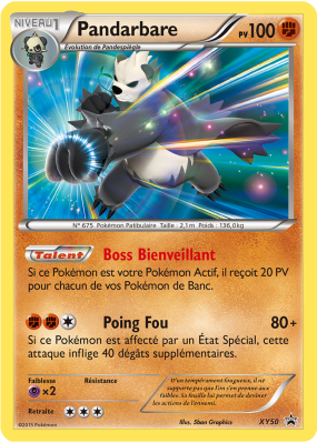 Carte Pokémon Pandarbare XY50 Promo XY
