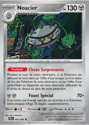 Carte Pokémon Noacier 063/086 Peu commune Chaos Ascendant