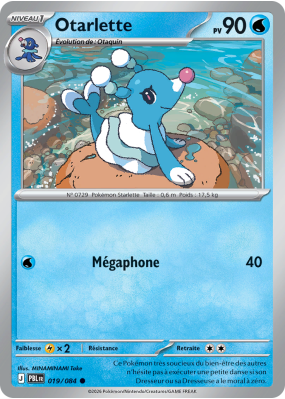 Carte Pokémon Otarlette 019/084 Commune Nuit Noire