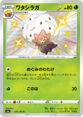 Blancoton 210/190 — Shiny Star V — Carte Pokémon Japonaise