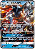 Amphinobi-GX 013/024 — Detective Pikachu — Carte Pokémon Japonaise