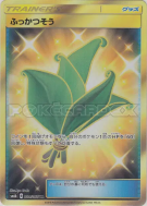 Herbe sauveuse 084/066 — Champion Road — Carte Pokémon Japonaise