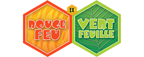 Cartes Pokémon Rouge Feu & Vert Feuille – EX | JCC Pokémon