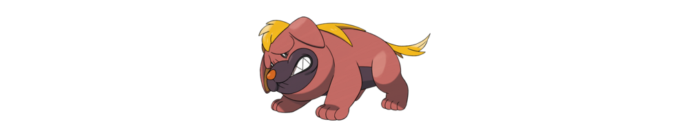 Cartes Pokémon Grondogue - Toutes éditions et cartes rares