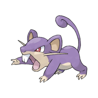 Rattata