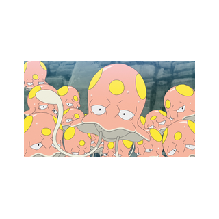 Terracool