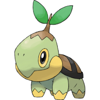 Tortipouss