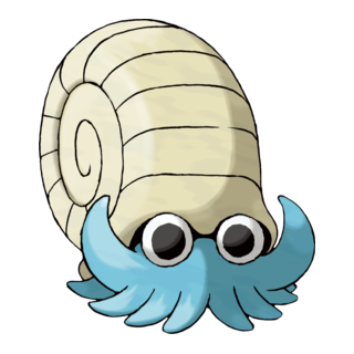 Amonita