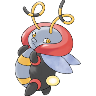 Muciole